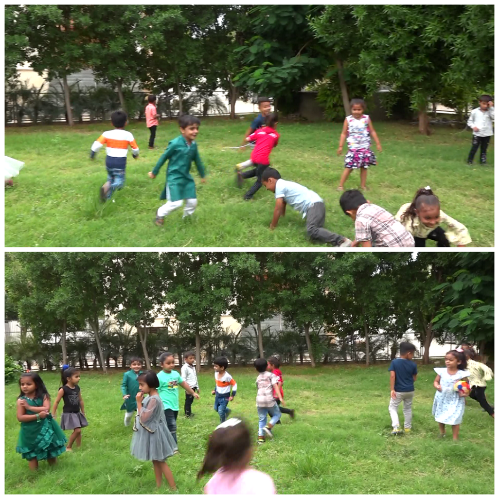 વિશાળ બગીચો